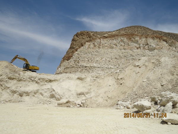 غنچه حسن.jpg